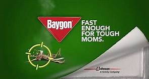 Baygon Odorless Multi-Insect Killer TVC 2017 15s (Philippines)