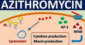 Azithromycin - Mechanism, side effects, precautions & uses