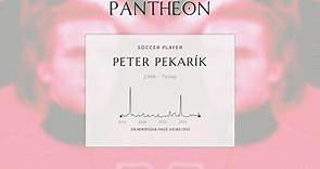 Peter Pekarík Biography - Slovak footballer
