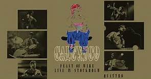 Calexico - Quattro (Live at China Theatre Stockholm, 25.04.2003)
