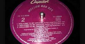 Mellow Man Ace - Welcome to My Groove