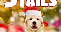 3 Holiday Tails - movie: watch streaming online