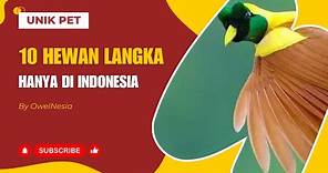 10 Hewan Langka Hanya Ada di Indonesia