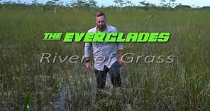 The Everglades River of Grass