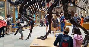 Museum Of Natural History | Oxford University | UK