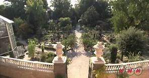 Botanical Garden (Orto Botanico), Padua (UNESCO/NHK)