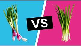 Spring Onion vs. Green Onions - What's the Difference?