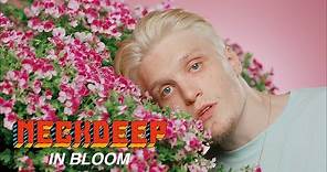 Neck Deep - In Bloom (Official Music Video)