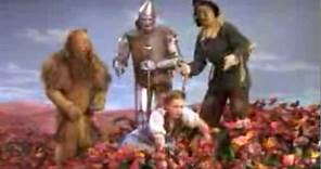 The Wizard of Oz - poppies