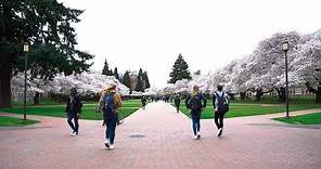Why You Should Go to the University of Washington