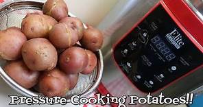 How to Cook Potatoes in a Pressure Cooker~Pressure Cooker Prep~Quick Cook Potatoes~Noreen's Kitchen