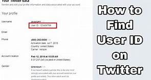 How to Find Your User ID on Twitter - how to find your twitter account ID