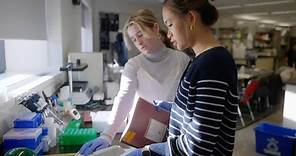 SCIENCE RESEARCH PROGRAM | Choate's Signature Programs