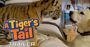 A Tiger's Tail (2014) | Trailer | Christopher Judge | Greg Grunberg | Darlene Vogel