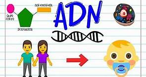¿Qué es el ADN? 🔬 | BIOLOGÍA |