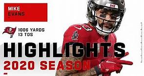 Mike Evans Full Season Highlights | NFL 2020