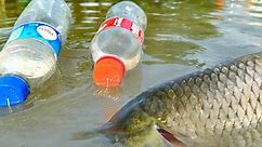 Amazing Fishing By Plastic Bottles Hook Trap In Pond