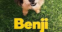 Benji - película: Ver online completas en español