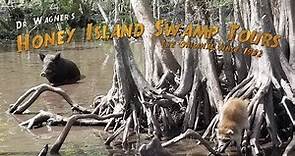 Dr Wagner's Honey Island Swamp Tour - Adventures With Satori