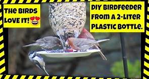 How to make a bird feeder out of a 2-liter plastic bottle.