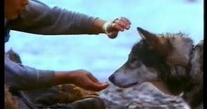 White Fang (1991)