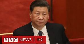 烏克蘭俄羅斯局勢：中國角色為何重要？－ BBC News 中文