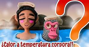 ¿Por qué te da calor cuando el aire está a la misma temperatura que tu cuerpo?