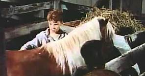 The Red Pony Original Trailer 1949