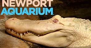 Newport Aquarium Tour & Review with The Legend