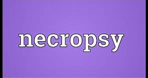 Necropsy Meaning