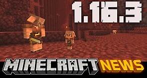 What's New in Minecraft Java Edition 1.16.3?