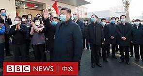 新型冠狀病毒肺炎：全球確診數字和疫情一覽－ BBC News 中文