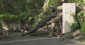 Storms cause damage in the DC, Maryland, Virginia