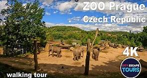 ZOO Prague, Czech Republic 🇨🇿 Walking Tour 4K 2023 | (4k UHD 60fps)
