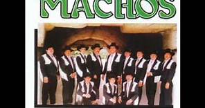 Banda Machos-Casimira