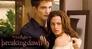 'The Day After the Wedding' Scene | The Twilight Saga: Breaking Dawn ...