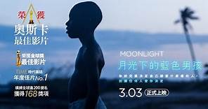 【內有全台時刻】奧斯卡最佳影片《月光下的藍色男孩》30秒版預告 (Moonlight)