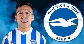Marcelino Núñez -2023- Welcome To Brighton & Hove Albion FC ? - Amazing Skills, Assists & Goals |HD|