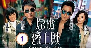 陳法拉主演 | TVB 警匪劇 | 原來愛上賊 01/20 | 馬德鐘(江揚)捕蟬劉松仁(高哲)在後 | 劉松仁、馬德鐘、陳玉蓮、陳法拉、李思捷、麥長青 | 粵語中字 | 2008