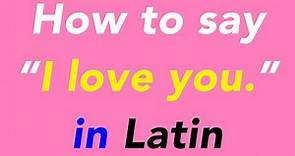 How to say “I love you.” in Latin | How to speak “I love you.” in Latin