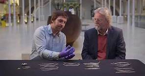 The Galloway Hoard: Dr Martin Goldberg in conversation with writer Michael Hirst