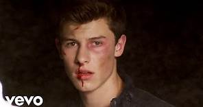 Shawn Mendes - Stitches (Official Music Video)