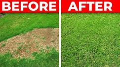 How to Fix a Bare Spot in the Lawn - 3 Tips for Fast Repair