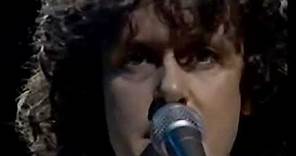 Donovan In Concert (1981) Rare Performance