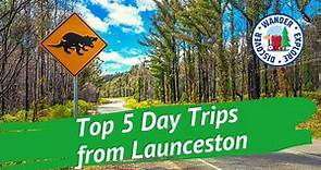 🚙 Top 5 Day Trips from Launceston ~ Discover Tasmania.