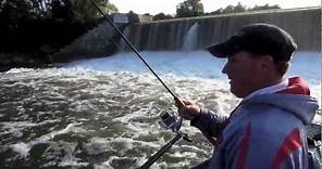 Oswego River Fall Salmon Fishing