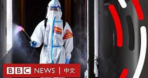 新冠疫情：中國為何仍堅持「清零」封城？－ BBC News 中文