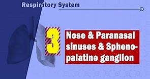 03. Nose, paranasal sinuses, and sphenopalatine ganglion