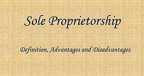 Sole Proprietorship - Definition, Advantages and Disadvantages