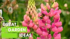 English-Style Gardens Done Right | Garden | Great Home Ideas